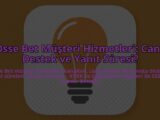 Osse-Bet-Musteri-Hizmetleri-Canli-Destek-ve-Yanit-Suresi-overlay-1784395953.jpg